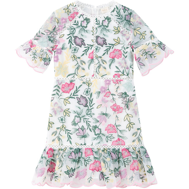 Ilaria Embroidered Mini Dress, Multi