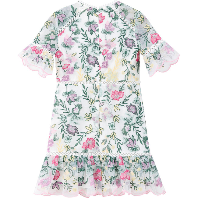 Ilaria Embroidered Mini Dress, Multi