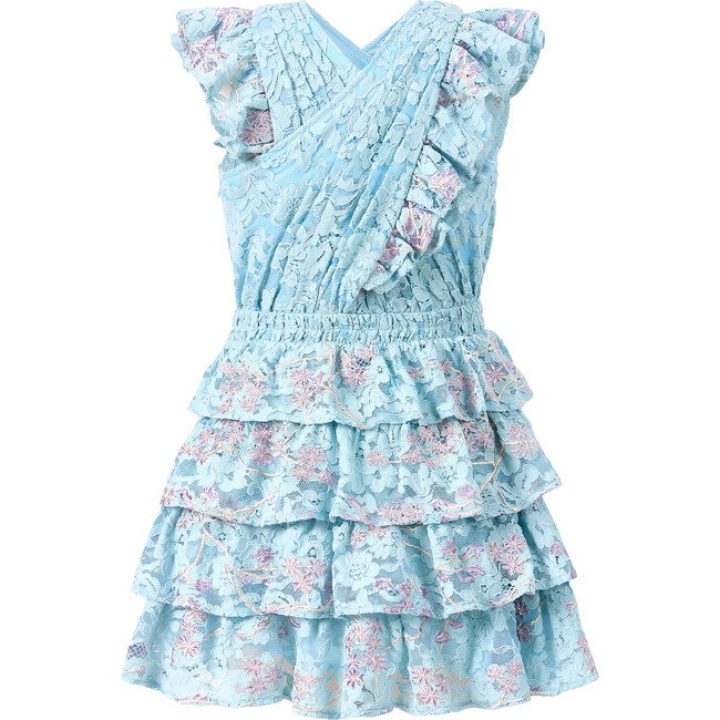 Angelica Embroidered Mini Dress, Floral