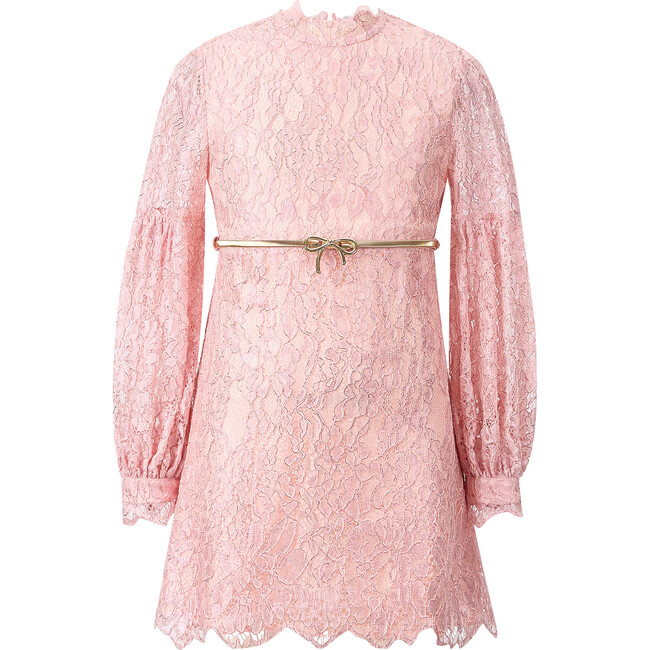 Dolly Embroidered Mini Dress, Pink
