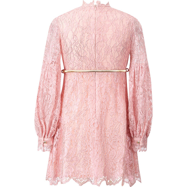 Dolly Embroidered Mini Dress, Pink