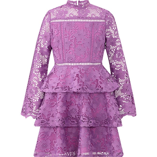 Gianna Embroidery Mini Dress, Grape