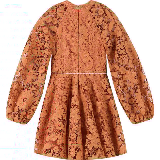 Esme Embroidered Sleeve Mini Dress, Cinnamon