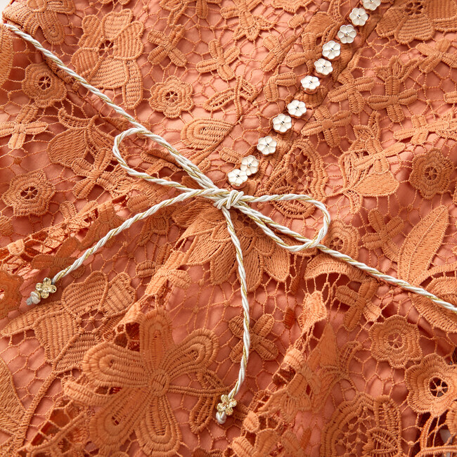 Esme Embroidered Sleeve Mini Dress, Cinnamon - Dresses - 4