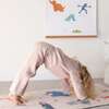 Sesame Street Yoga Bundle - Developmental Toys - 2 - thumbnail
