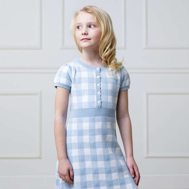 Organic Short Sleeve Button Front Sweater Dress, Classic Blue Gingham - Dresses - 4