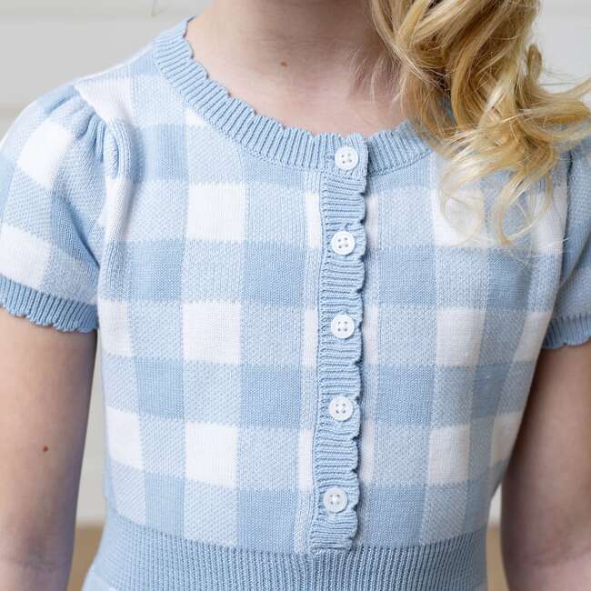 Organic Short Sleeve Button Front Sweater Dress, Classic Blue Gingham - Dresses - 5