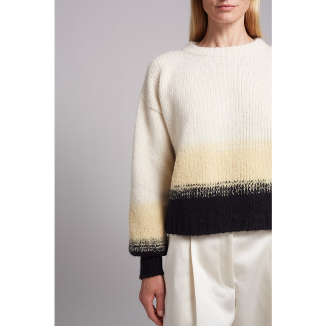 Sonia Colorblock Sweater, Combo - Sweaters - 7