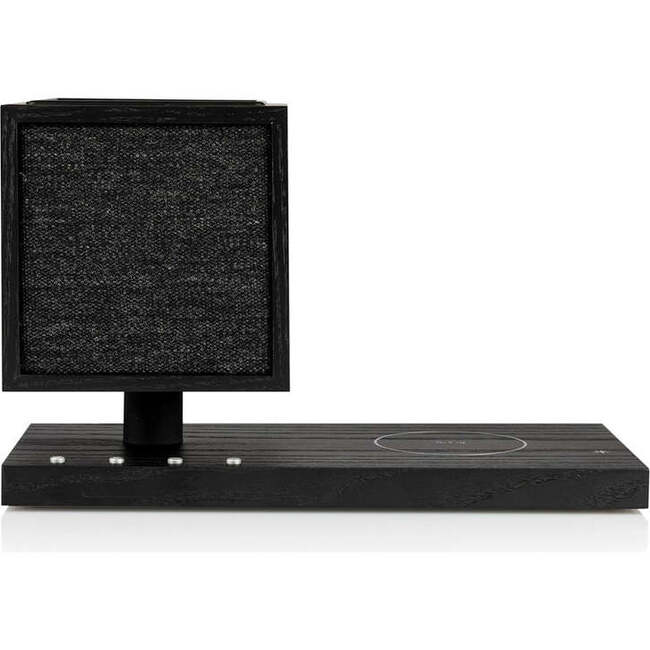Revive Speaker, Black Ash/Black