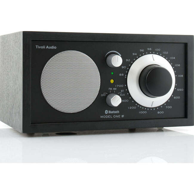 Model One Speaker, Black Ash/Black-Silver