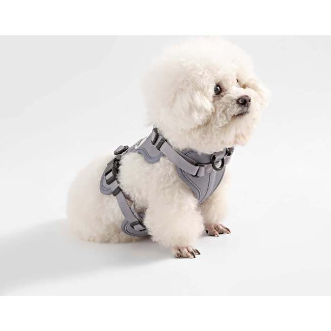 Arlo Adjustable Soft Padded No Pull Pet Harness with 3 Buckles and 3 Leash Clips, Grey - Collars, Leashes & Harnesses - 7