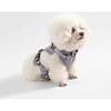 Arlo Adjustable Soft Padded No Pull Pet Harness with 3 Buckles and 3 Leash Clips, Grey - Collars, Leashes & Harnesses - 7