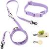 Luna 8FT Adjustable 6-in-1 Waterproof Hands Free Leash and Collar with LED Flashlight, Bag Dispenser, and Poop Bag Holder, Purple/Light Purple - Collars, Leashes & Harnesses - 1 - thumbnail