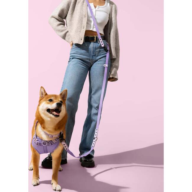 Luna 8FT Adjustable 6-in-1 Waterproof Hands Free Leash and Collar with LED Flashlight, Bag Dispenser, and Poop Bag Holder, Purple/Light Purple