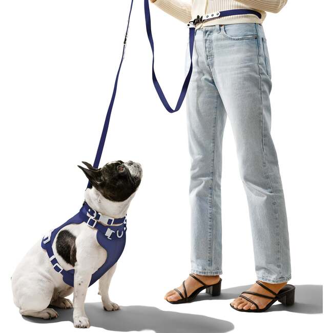 Luna 8FT Adjustable 6-in-1 Waterproof Hands Free Leash and Collar with LED Flashlight, Bag Dispenser, and Poop Bag Holder, Navy/White