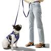 Luna 8FT Adjustable 6-in-1 Waterproof Hands Free Leash and Collar with LED Flashlight, Bag Dispenser, and Poop Bag Holder, Navy/White - Collars, Leashes & Harnesses - 2