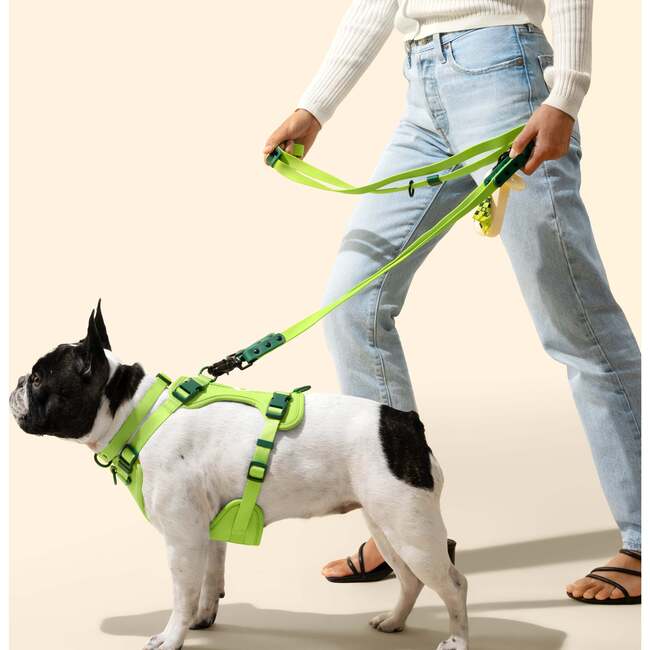 Luna 8FT Adjustable 6-in-1 Waterproof Hands Free Leash and Collar with LED Flashlight, Bag Dispenser, and Poop Bag Holder, Light Green/Dark Green