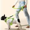Luna 8FT Adjustable 6-in-1 Waterproof Hands Free Leash and Collar with LED Flashlight, Bag Dispenser, and Poop Bag Holder, Light Green/Dark Green - Collars, Leashes & Harnesses - 2