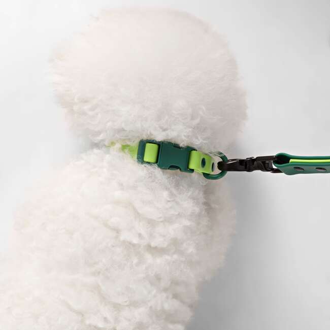 Luna 8FT Adjustable 6-in-1 Waterproof Hands Free Leash and Collar with LED Flashlight, Bag Dispenser, and Poop Bag Holder, Light Green/Dark Green - Collars, Leashes & Harnesses - 3