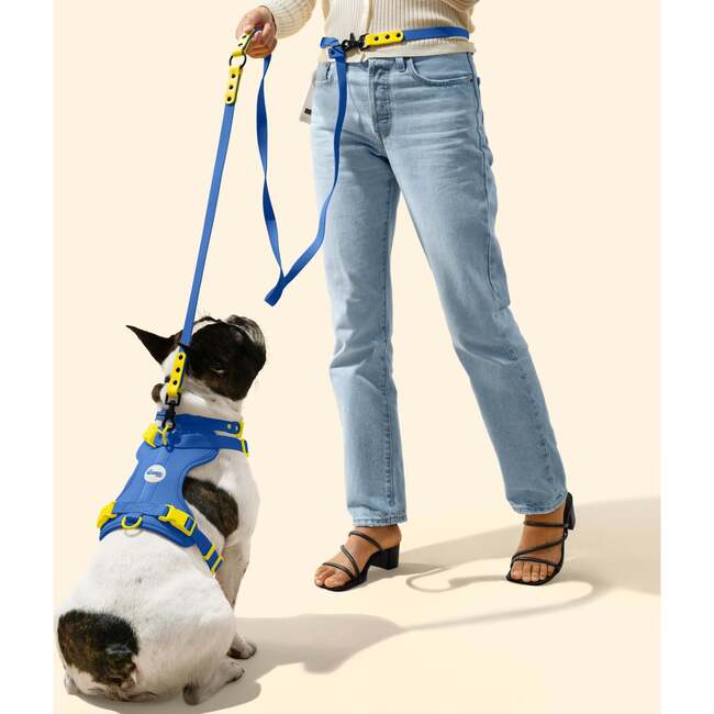 Luna 8FT Adjustable 6-in-1 Waterproof Hands Free Leash and Collar with LED Flashlight, Bag Dispenser, and Poop Bag Holder, Dark Blue/Yellow