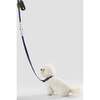 Luna 8FT Adjustable 6-in-1 Waterproof Hands Free Leash and Collar with LED Flashlight, Bag Dispenser, and Poop Bag Holder, Navy/White - Collars, Leashes & Harnesses - 6