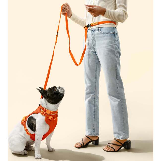 Luna 8FT Adjustable 6-in-1 Waterproof Hands Free Leash and Collar with LED Flashlight, Bag Dispenser, and Poop Bag Holder, Dark Orange/Light Orange