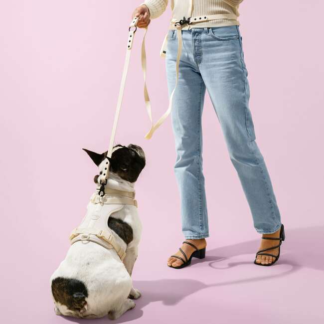 Luna 8FT Adjustable 6-in-1 Waterproof Hands Free Leash and Collar with LED Flashlight, Bag Dispenser, and Poop Bag Holder, Almond