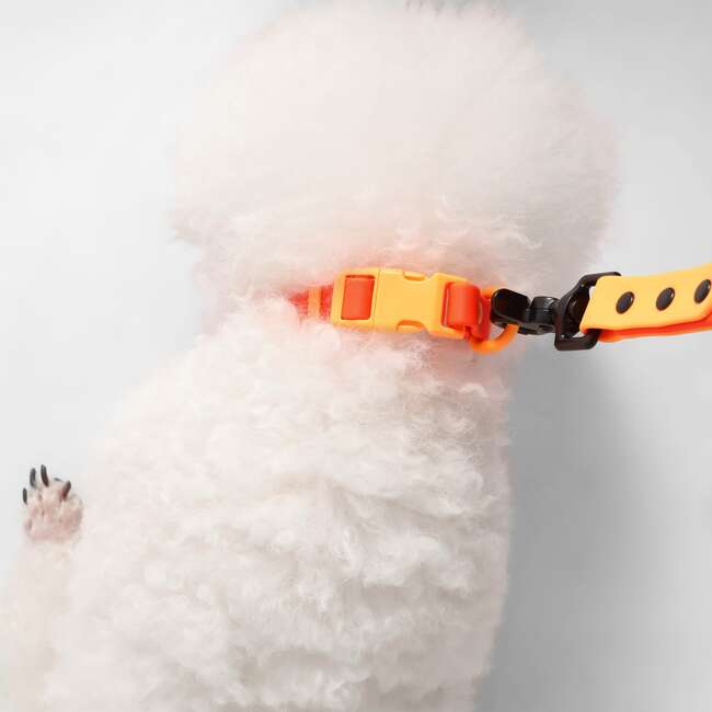 Luna 8FT Adjustable 6-in-1 Waterproof Hands Free Leash and Collar with LED Flashlight, Bag Dispenser, and Poop Bag Holder, Dark Orange/Light Orange - Collars, Leashes & Harnesses - 3