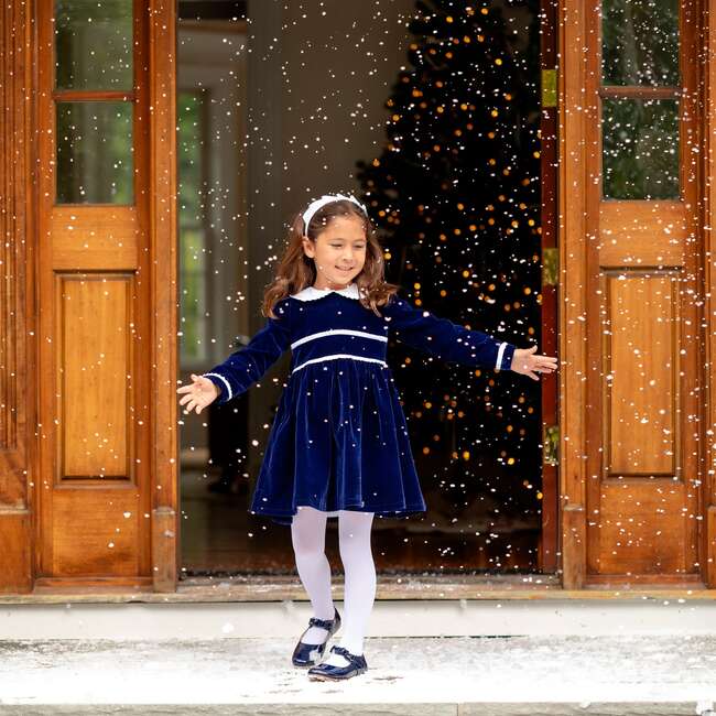 Long Sleeve Grace Dress, Midnight Blue Velvet