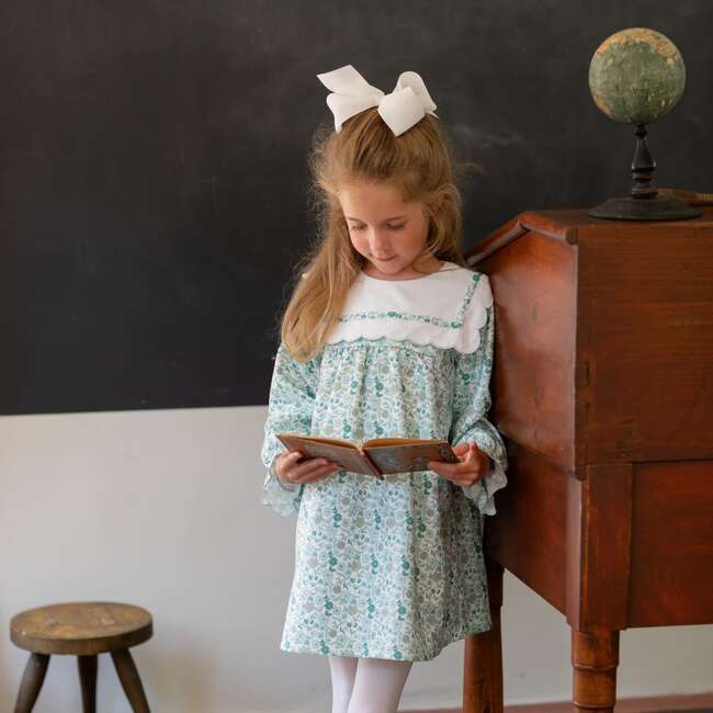 Isla Floral Embroidered Ruffle Collar Long Sleeve Dress, Fairfax