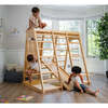 Magnolia - Real Wood 7-in-1 Playset, Natural - Activity Gyms - 4