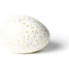 Speckled Golden Egg - Accents - 4