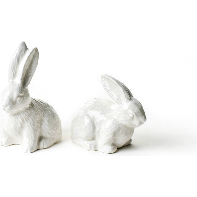 Rabbit Shaped Salt and Pepper Shaker Set