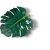 Palm Platter - Tableware - 1 - thumbnail