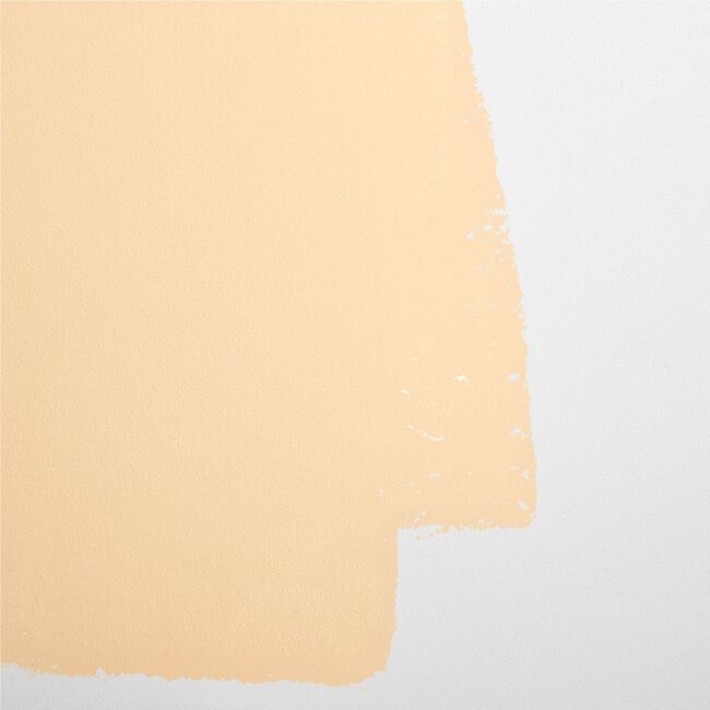 Earthly Delights Paint, Light Peach - Paint - 3