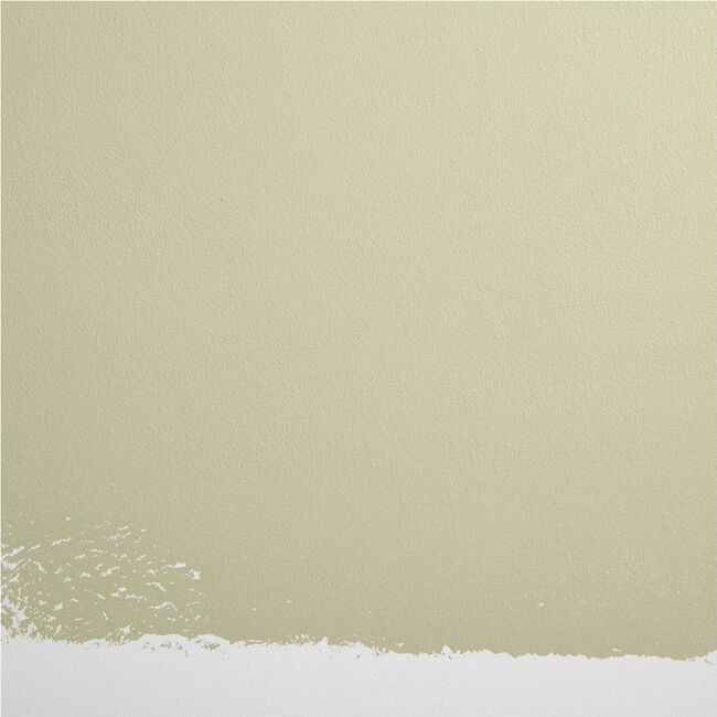 Natural Habitat Paint, Light Green-Yellow - Paint - 3