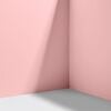 Shy Boys Paint, True Pink - Paint - 4 - thumbnail
