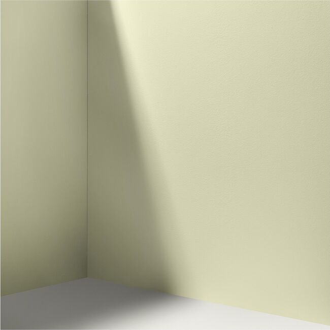 Natural Habitat Paint, Light Green-Yellow - Paint - 4