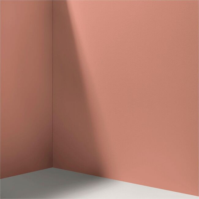 36 Hours In Marrakech Paint, Warm Earthy Pink - Paint - 4