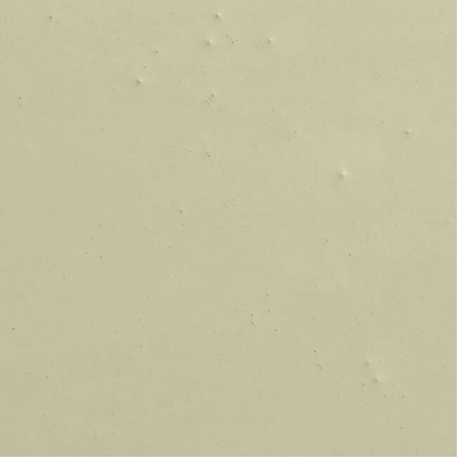 Natural Habitat Paint, Light Green-Yellow - Paint - 6