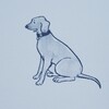 Good Dogs Everywhere Woven Wallpaper, Sky & Navy Blue - Wallpaper - 6 - thumbnail