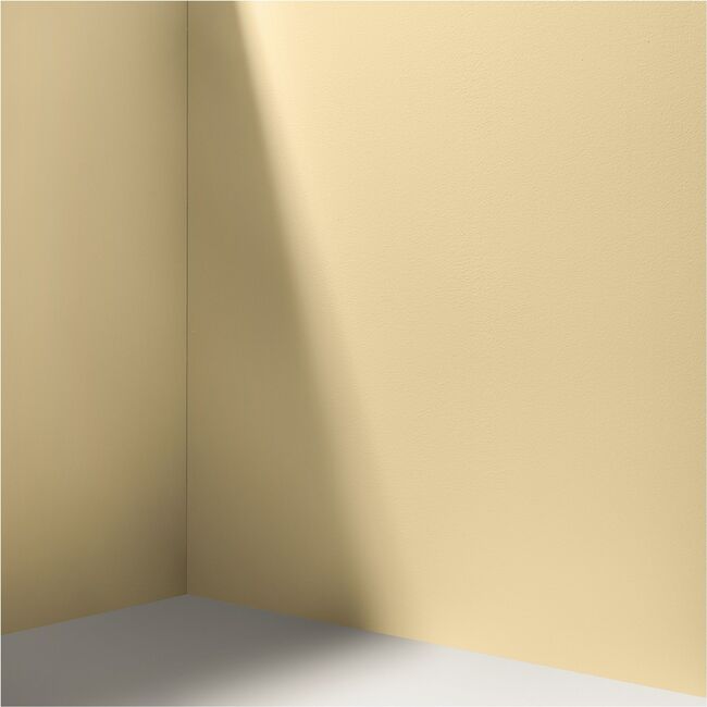 Miami Parasol Paint, Muted Yellow - Paint - 4