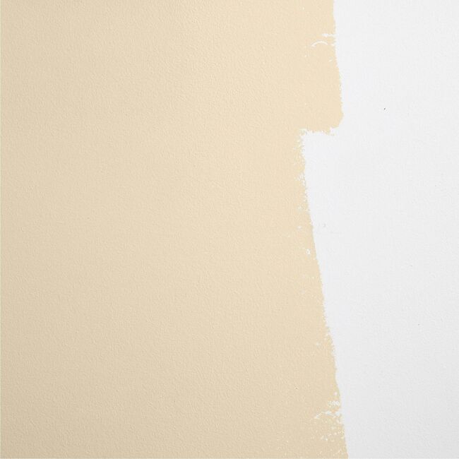 Palo Santo Paint, Earthy Yellow-Beige - Paint - 3