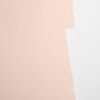 Modern Love Paint, Warm Muted Pink - Paint - 3 - thumbnail