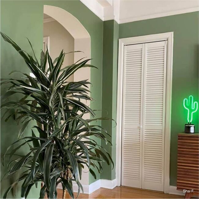 Drive-Thru Safari Paint, Soft Green - Paint - 7