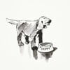 Good Dogs Everywhere Woven Wallpaper, Black & White - Wallpaper - 6 - thumbnail
