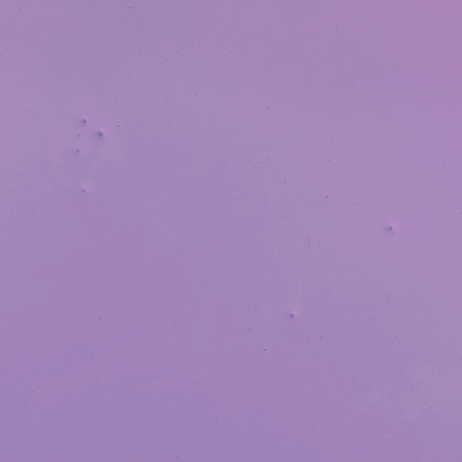 BARBIE™ DREAMHOUSE™ PURPLE, True purple - Paint - 5