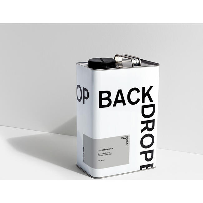 Italian Plaster Low-Sheen Semi-Matte Paint, Cool Light Gray - Paint - 5