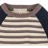 Organic Long Sleeve Raglan Sweater, Taupe Stripe - Sweaters - 2 - thumbnail