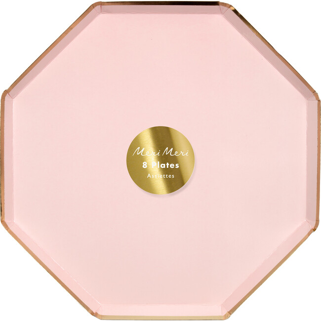 Dusky Pink Dinner Plates